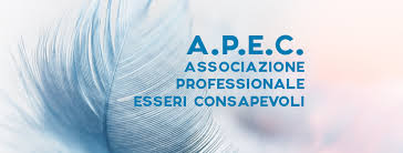 29.LUCIA DI MARIA APEC